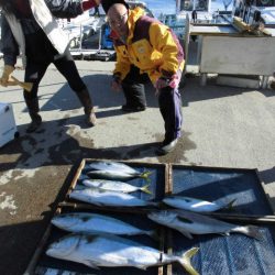 大進丸（愛知） 釣果