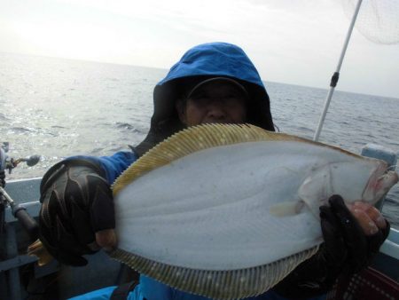 大進丸（愛知） 釣果