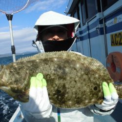 大進丸（愛知） 釣果