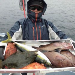 大進丸（愛知） 釣果