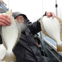 大進丸（愛知） 釣果