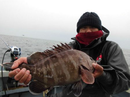 大進丸（愛知） 釣果