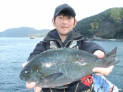 春日丸 釣果