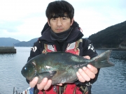 春日丸 釣果