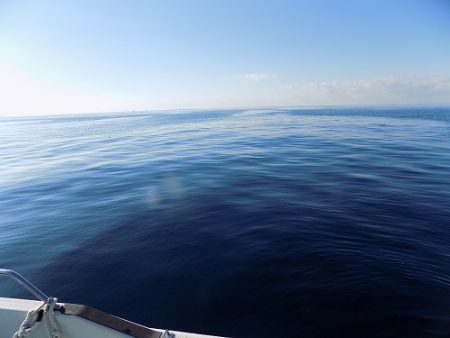 フィッシングボート空風（そらかぜ） 釣果