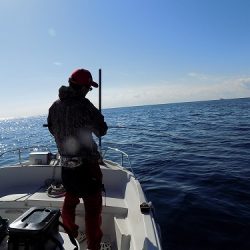 フィッシングボート空風（そらかぜ） 釣果