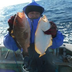 大進丸（愛知） 釣果