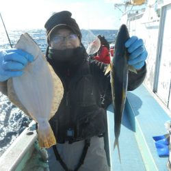 大進丸（愛知） 釣果