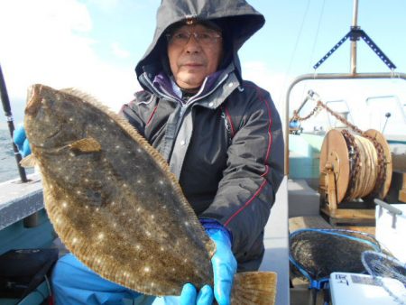 大進丸（愛知） 釣果