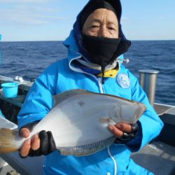 大進丸（愛知） 釣果