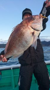 愛海丸 釣果