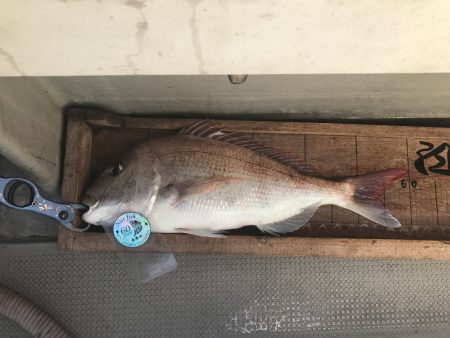 白墨丸 釣果