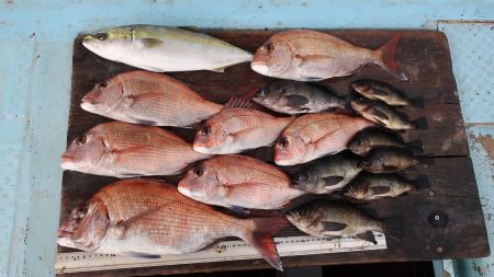 はらまる 釣果