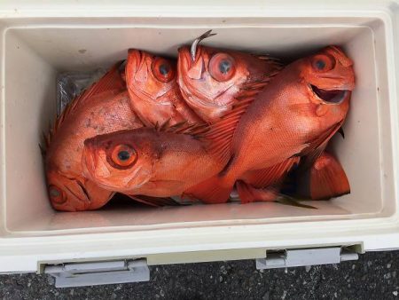 三吉丸 釣果