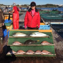 みうら海王 釣果