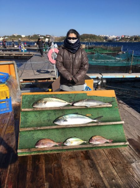 みうら海王 釣果