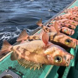 広進丸 釣果