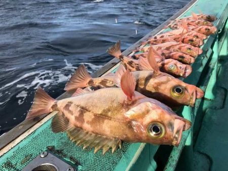 広進丸 釣果