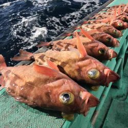 広進丸 釣果