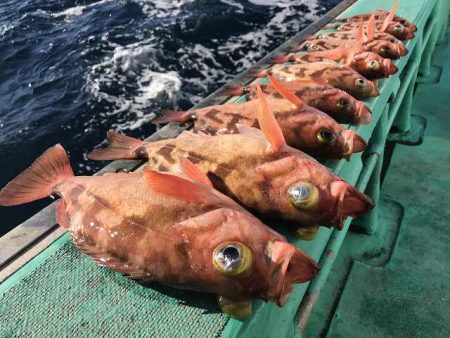 広進丸 釣果