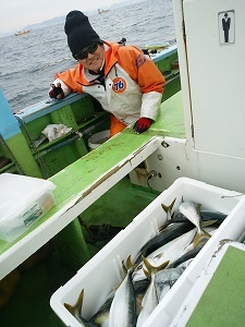 利八丸 釣果