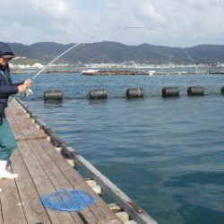 淡路じゃのひれフィッシングパーク 釣果