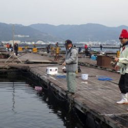 淡路じゃのひれフィッシングパーク 釣果