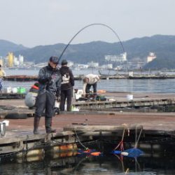 淡路じゃのひれフィッシングパーク 釣果