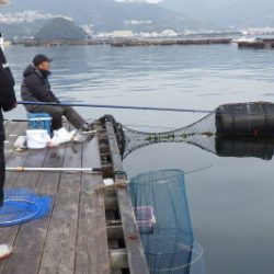 淡路じゃのひれフィッシングパーク 釣果