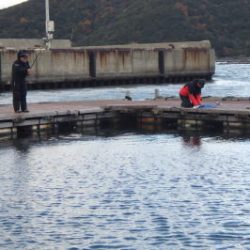 淡路じゃのひれフィッシングパーク 釣果