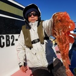 しまや丸 釣果