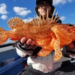 しまや丸 釣果