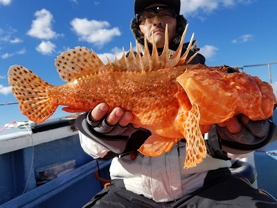 しまや丸 釣果