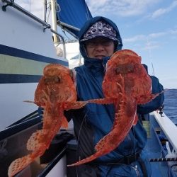 しまや丸 釣果