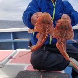 しまや丸 釣果