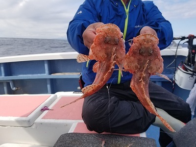 しまや丸 釣果