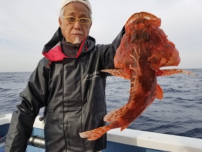 しまや丸 釣果