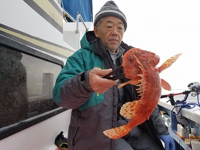 しまや丸 釣果