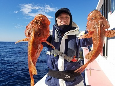 しまや丸 釣果