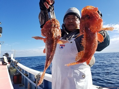 しまや丸 釣果