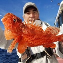 しまや丸 釣果