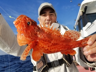 しまや丸 釣果