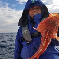 しまや丸 釣果