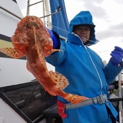 しまや丸 釣果