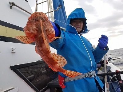 しまや丸 釣果