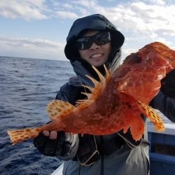 しまや丸 釣果