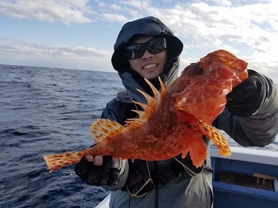 しまや丸 釣果