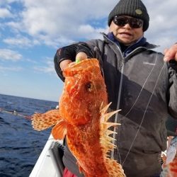 しまや丸 釣果