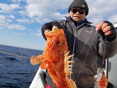 しまや丸 釣果