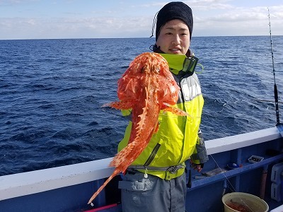 しまや丸 釣果